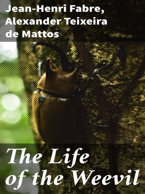 cover image of The Life of the Weevil